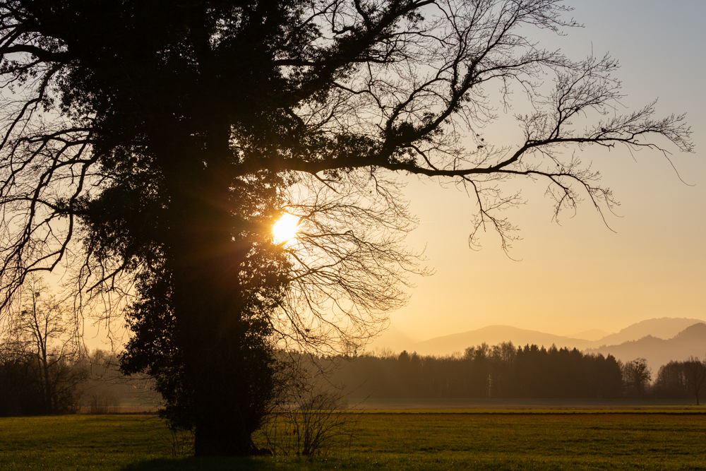 Lauteracherried im Jänner 89